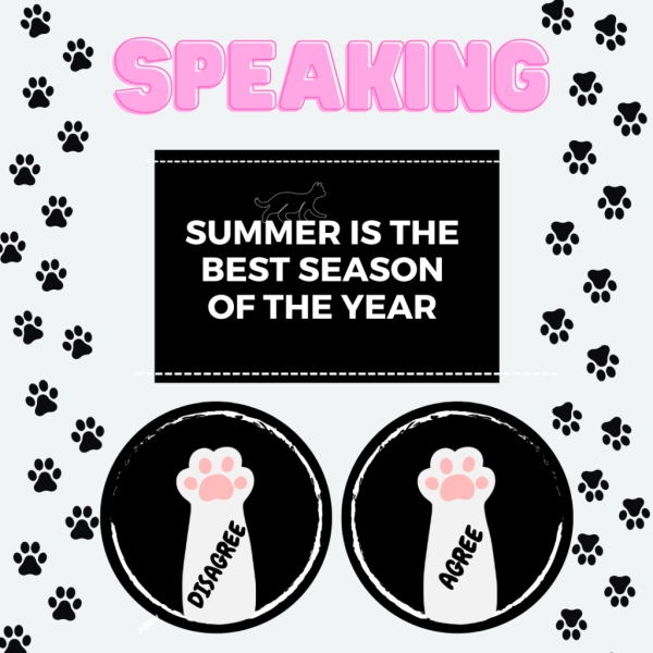 Speaking- AGREE/DISAGREE